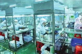 邵陽 企業(yè)軟件開發(fā)的創(chuàng)新實踐者